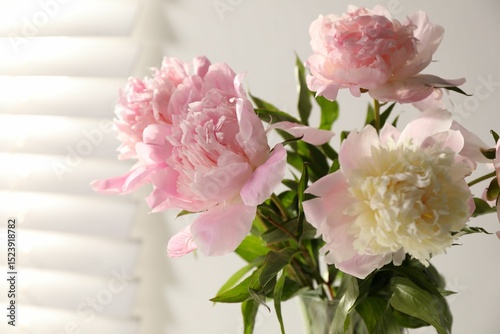 Fototapeta Naklejka Na Ścianę i Meble -  Bouquet of beautiful peonies in vase indoors, closeup