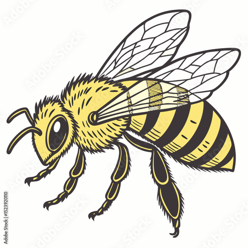 "Bee – Flying Insect Vector Illustration"

