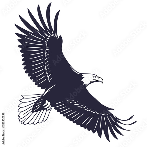"Eagle Silhouette – Flying Bird of Prey Vector"

