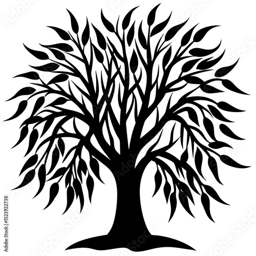 silhouette of a willow shrub with long flowing branches and narrow leaves