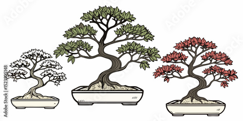 Mini Bonsai Collection Botanical Flat Vector Illustration of 5 Miniature Bonsai Trees