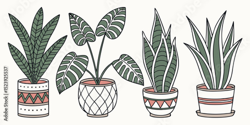 Vector Graphic of 5 Variegated Houseplants A Collection of Illustrated Indoor Plants in Decorative Pots