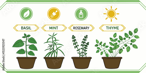 Vector Illustration A Chart of 20 Indoor Culinary Herbs - Basil, Mint, Rosemary, Thyme and More