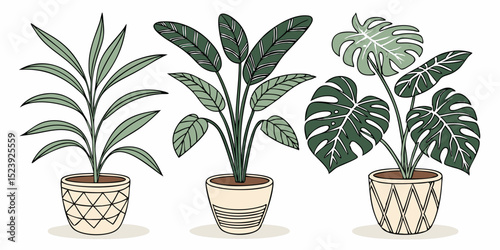 Vibrant Vector Illustration of 5 Rainforest Foliage Plants in Stylish Pots - A Botanical Delight