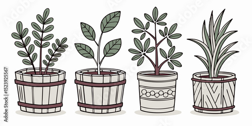 Charming Vector Illustration of Five Vintage-Style Potted Plants A Delightful Collection of Houseplants in Rustic Wooden Planters