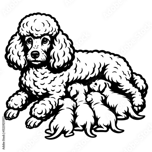 Vector poodle dog mother nursing four puppies, funny and elegant curly-haired breed line art in black and white