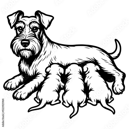Vector schnauzer dog mother nursing puppies, black and white funny dog mom clipart in bold line style