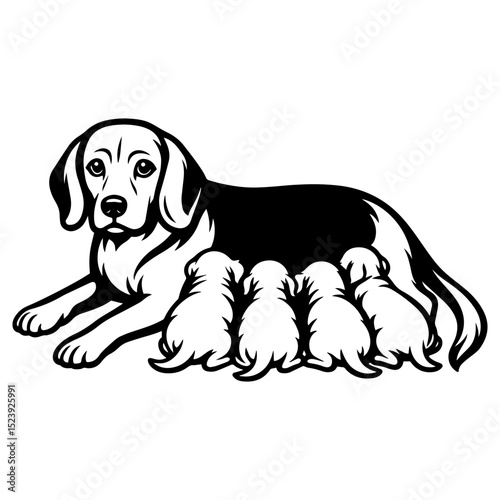 Vector illustration of a beagle or hound mother dog lying with puppies nursing