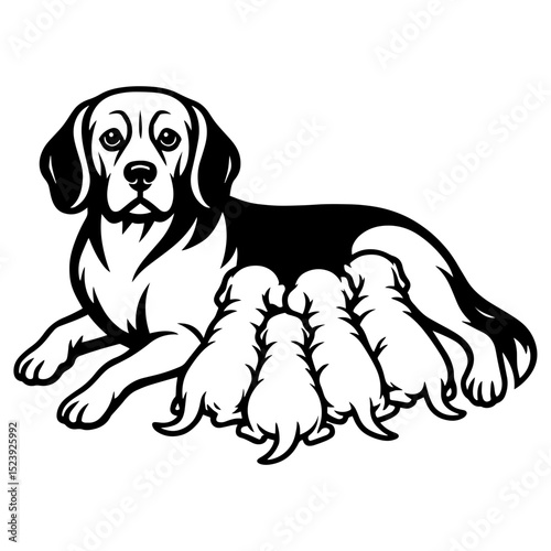 Vector illustration of a beagle mother dog lying down and nursing four puppies