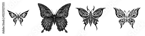A New Zealand Maori tribal design featuring a butterfly animal tattoo, accompanied by a Polynesian Maori tribal sign and a Hawaiian culture motif in a modern print style, also representing a Samoan