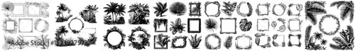 Tropical palm leaves and rainforest plants are surrounded by jungle liana frames, creating modern backgrounds, including square and round frames of tropical rain forest palms, monstera leaves, fern