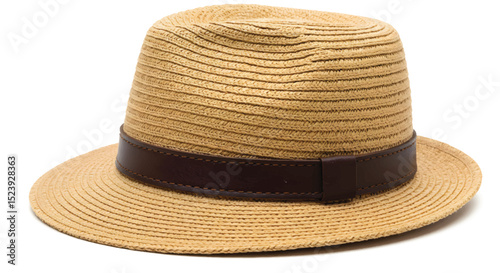 Stylish Straw Fedora Hat