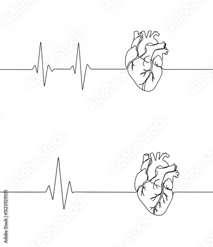 Human Heart and EKG Line