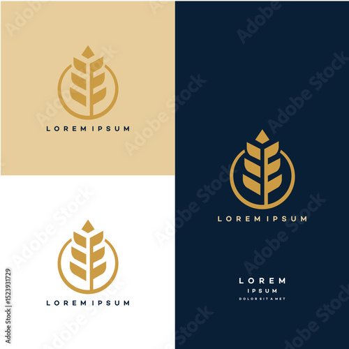 Luxury Grain wheat logo concept, Agriculture wheat Logo Template vector icon