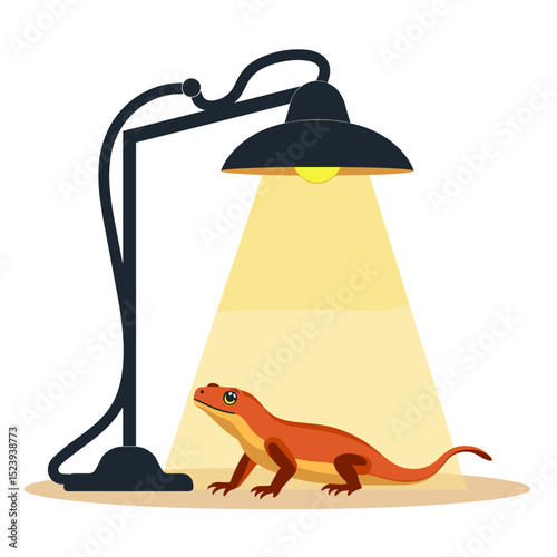 Cartoon Newt Basking Under a Heat Lamp, Vector Illustration of Amphibian Reptile Care