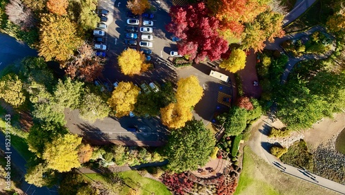 Slika na platnu Aerial drone view of Mount Lofty Botanic Garden in South Australia, capturing the vibrant autumn foliage of deciduous trees in full colour along walking trails, lakeside paths, and forested parkland