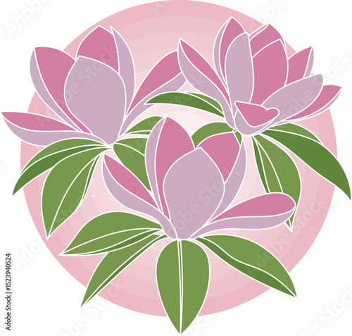 Illustration of magnolia flower with leaf on pink circle background.