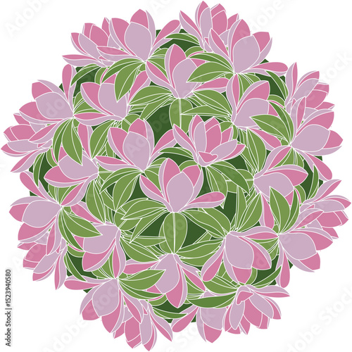 Illustration of magnolia flower with leaf on green circle background.