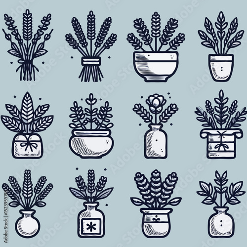 Various illustrated flower pots and arrangements in line art style  