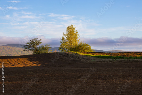 Plowed fields seen during an early spring morning, with trees and mountains in the background, Quebec City, Quebec, Canada