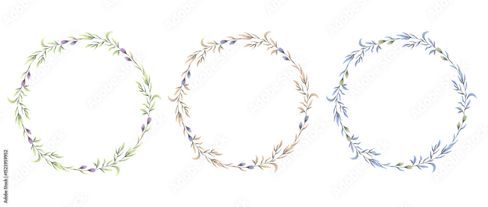 Obraz premium green grass isolated on white