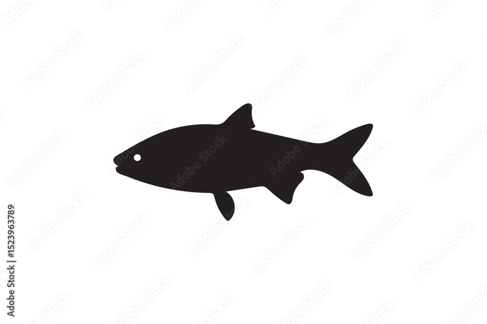 Obraz premium Grass carp silhouette on white background.01