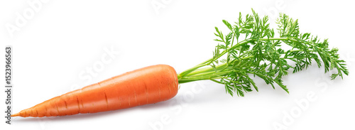 Red carrot with greens' tops isolated on white background. File contains clipping path.