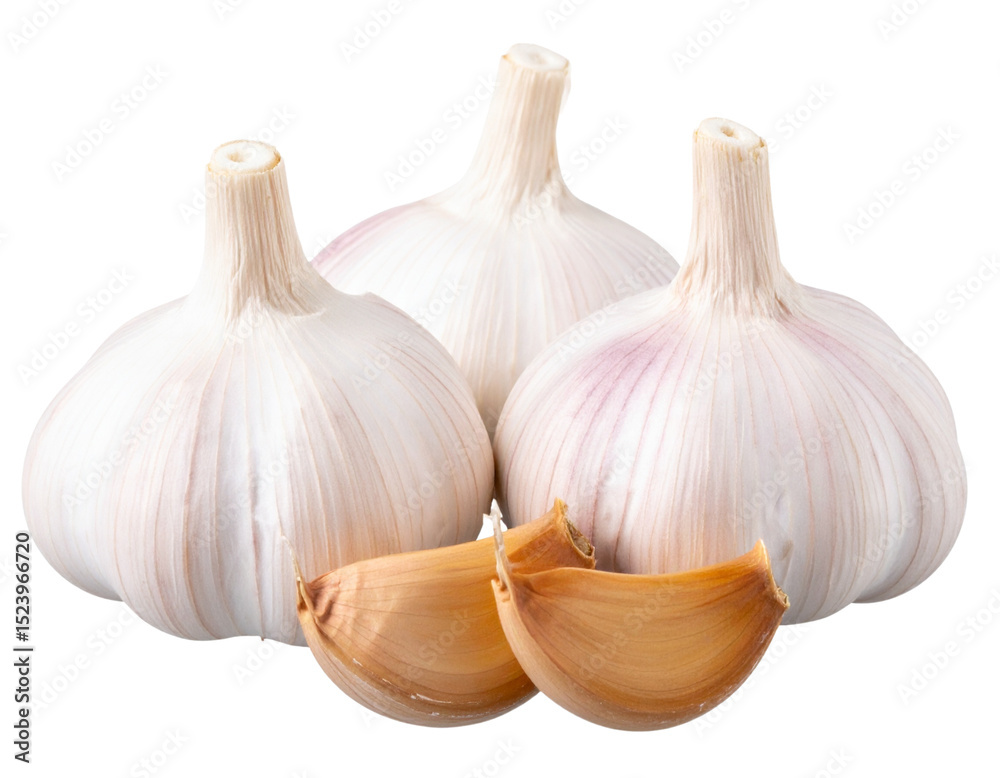 Obraz premium Garlic Bulbs in Cluster with Two Loose Cloves, Transparent PNG