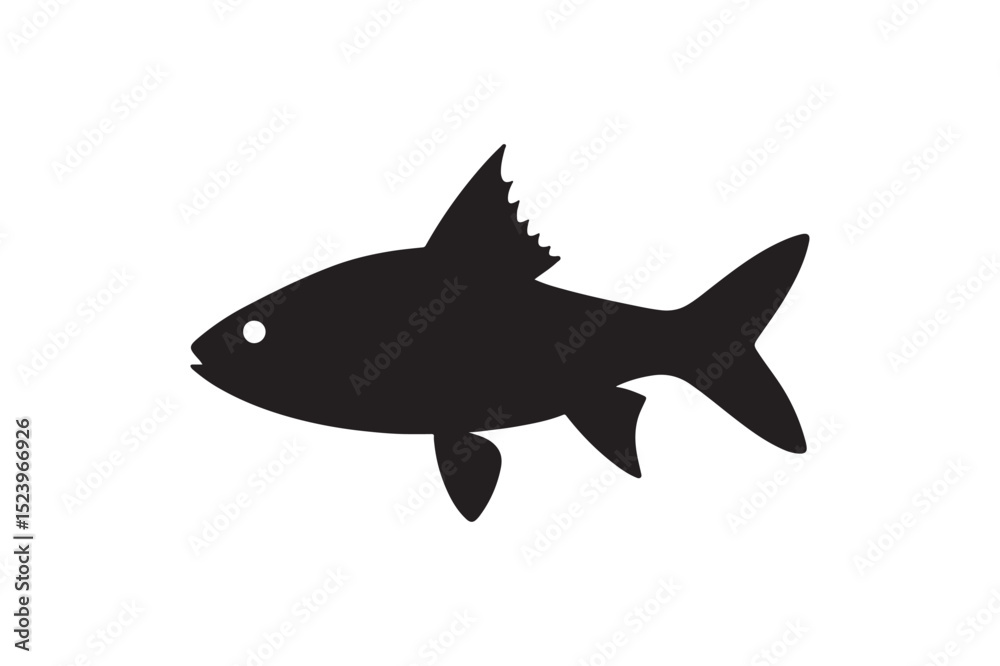 Fototapeta premium Swamp barb silhouette on white background.01