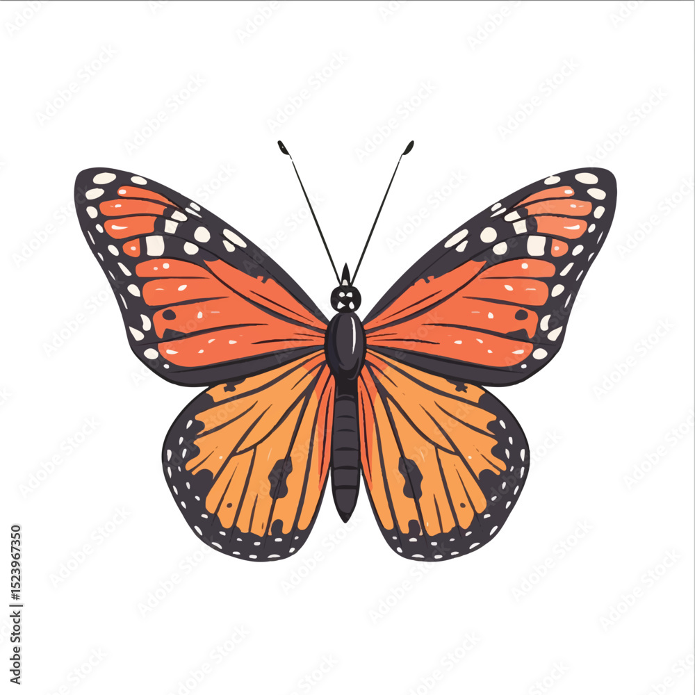 Fototapeta premium Cute Butterfly Vector Illustration in Simple Line Art Style