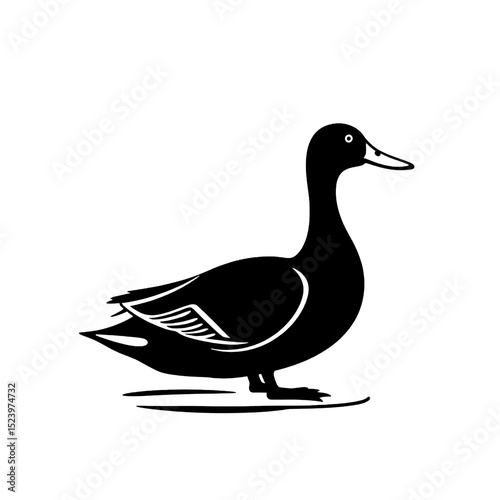 Elegant Black and White Duck Illustration Simple Bird Drawing