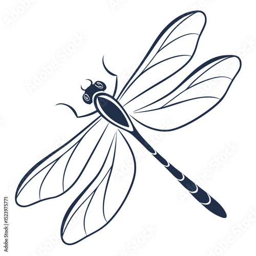 Elegant line art dragonfly illustration