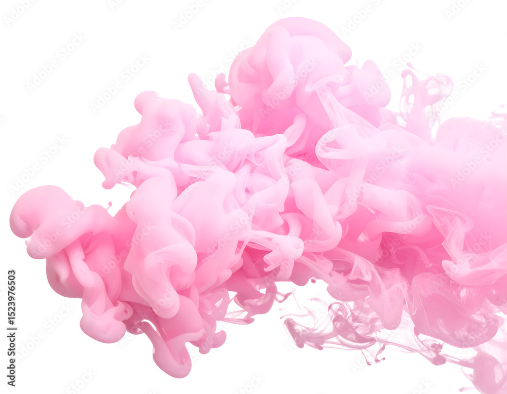 Obraz premium pink carnation flowers
