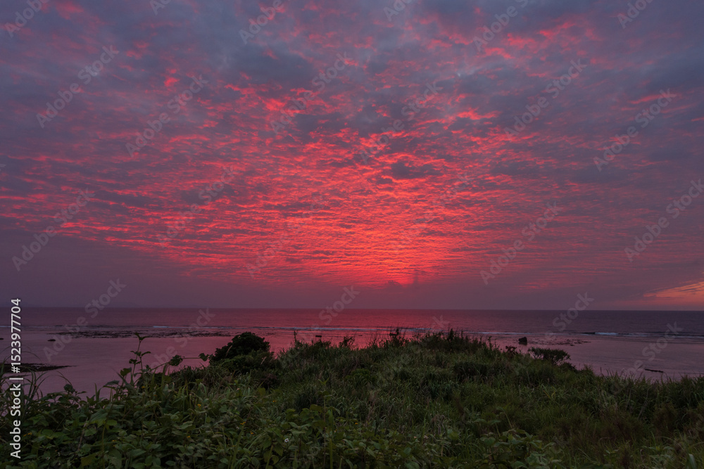 Naklejka premium 日本の鹿児島県の徳之島の美しい星空