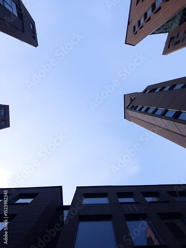 Chinstrap Facing Skywards