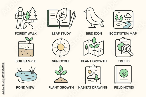 Nature exploration icons: forest walk, bird, ecosystem, plant growth, habitat drawing