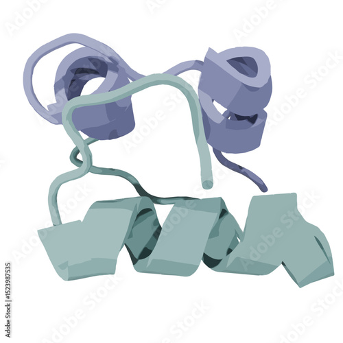 Insulin molecule