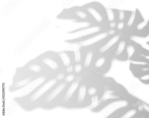 monstera shadow overlay effect,realistic sunmmer sunlight tropical leaves shadows isolated on transparent png background