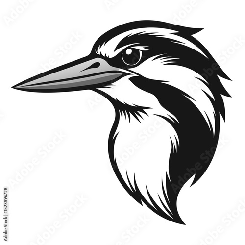 Kingfisher bird head drawn in pencil sketch with dramatic black and white