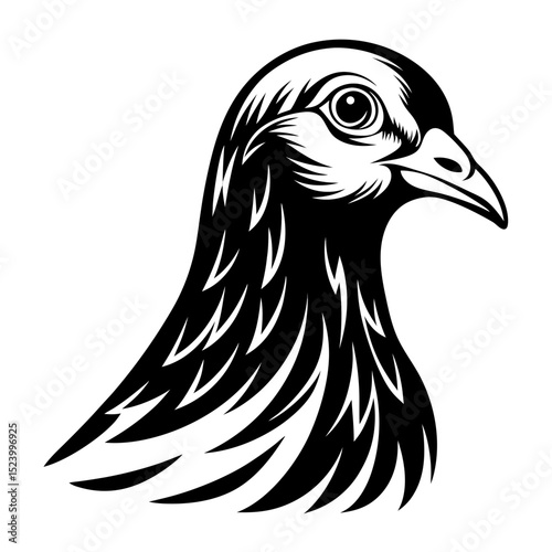 Pigeon head pencil sketch with soft dramatic shading in black and white