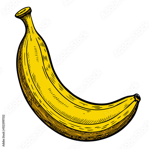 Color pencil sketch of banana with dramatic detail and artistic texture