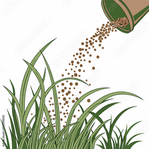Lawn Fertilizer Application Green Grass Growth