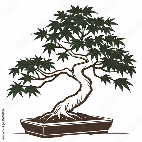 Japanese maple bonsai tree in brown pot