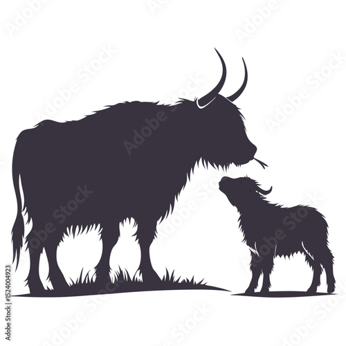 Highland cow and calf silhouette in grass