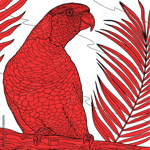 Colorful Tropical Parrot Illustration with Rainbow Feathers for Graphic Design Projects.