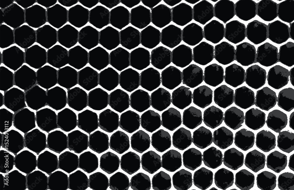 Monochrome cell hexagon pattern. Samples vector background Monochrome cell hexagon pattern. Samples vector background