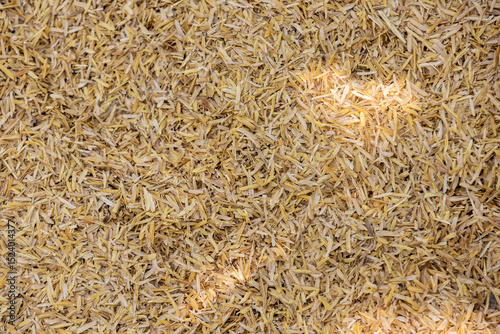 close-up shot of a dense layer of golden-yellow rice husks. The texture shows the individual hulls and their random arrangement