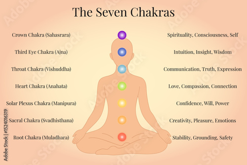 Seven Chakras Chart with Names and Meanings, Vector Illustration