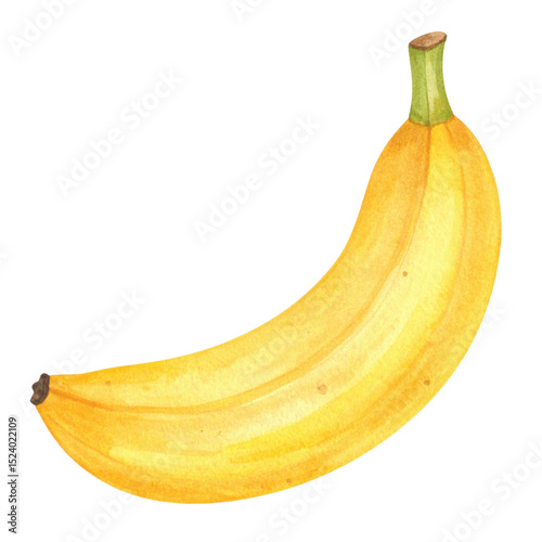 Watercolor illustration of ripe yellow banana with green stem