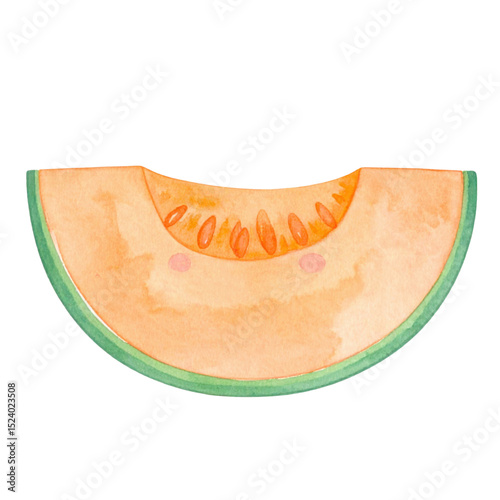Watercolor illustration of cantaloupe slice with seeds, showcasing vibrant colors